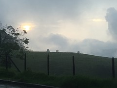 Uitzicht balkonnetje