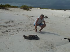 Willem & sealion baby