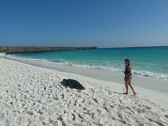 Maggy on the beach