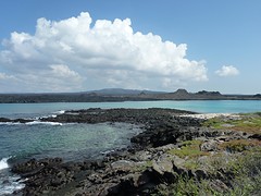 Black turtle cove
