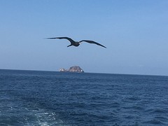 Fregat met kicker rock