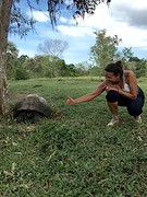 Tortoise Santa Cruz