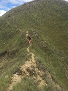 on top of the hill