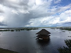 uitzocht Boulevard, Iquitos