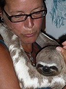 knuffel 'sloth'
