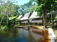 Golondrina 's lodge