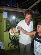 boa constrictor en de W