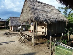 Saquena