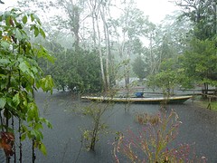tropisch regenbuitje