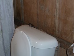 Kikkertje op de pot