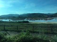 uitzicht vanuit de trein