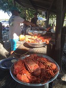 Lobster tijdens boattrip