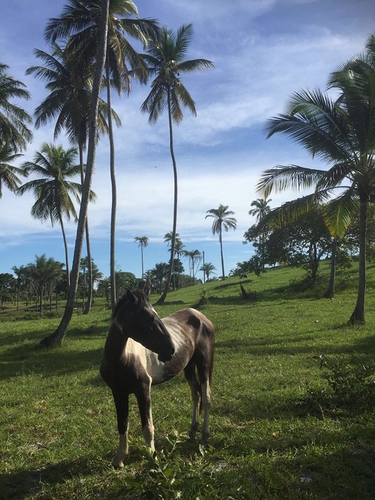 Boipeba