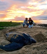 Leatherback en wij
