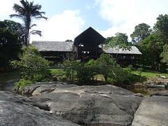 Hangmat huis fungus island