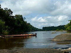 Uitzicht Fungu Island over de Coppename rivier