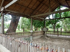 Killing tree @ Choeung Ek