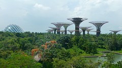Garden by the bay