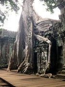 Ta Prohm