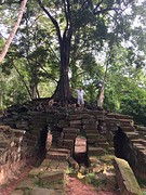 Ta Prohm