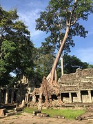 Achterzijde Ta Prohm