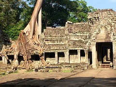 Ta Prohm achterzijde 2