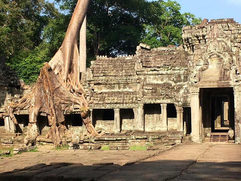 Ta Prohm achterzijde 2