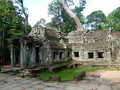 Ta Prohm middenin