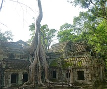 Boom @ Ta Prohm