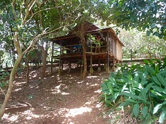 W @ Tree Top bungalow