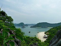 Monkey island