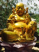 Happy budha