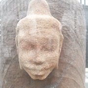 IMG_7497