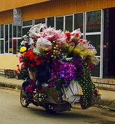 Brommer met bloemen