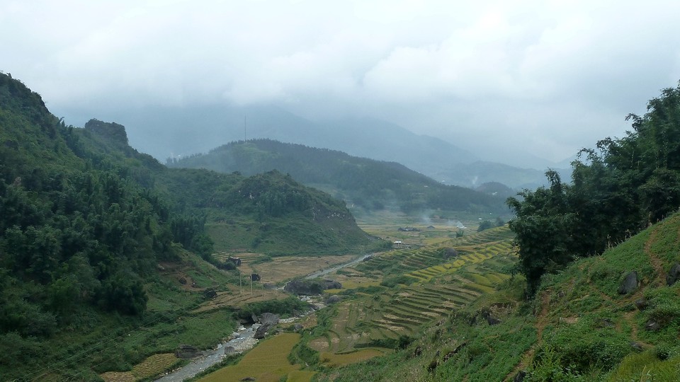Vallei