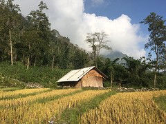 Huis Lala en chong