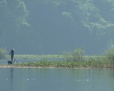 Vrouw bij haar rijst en garnalen veld