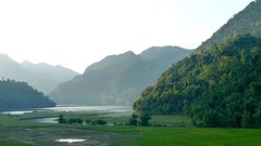 Lake view
