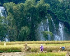 Ban Gioc met voorgrond rijstplukkers