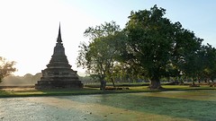 Wat en boom bij sunset