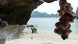 twee weken vietnam