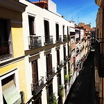 IMG_0558