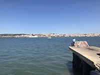 Waiting to catch a fish