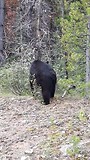 20180803_101551