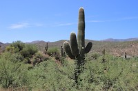 Van de Grand Canyon naar Phoenix