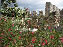 ruine