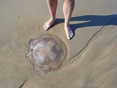 kwalletje op het strand