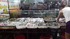 kiest uwe vis of seafood maar uit en wij doen de rest!