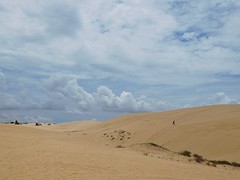de witte duinen