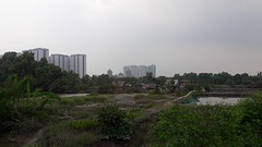 city skyline